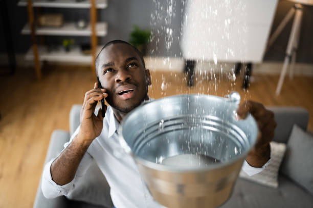 Best Ceiling water damage repair  in Briarcliff Manor, NY