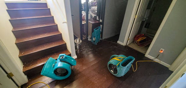 Best Carpet water damage restoration  in Briarcliff Manor, NY