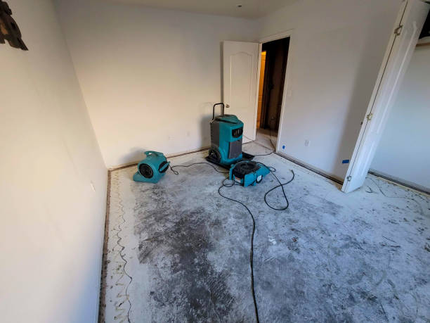 Best Flooded house restoration  in Briarcliff Manor, NY