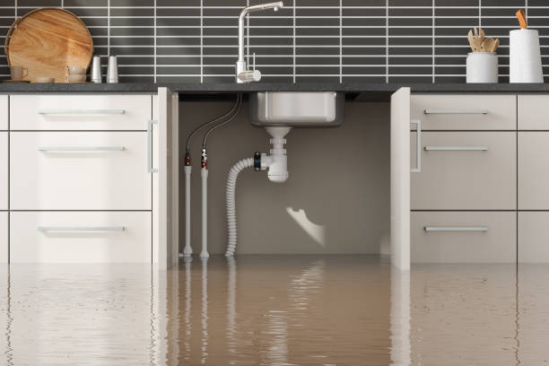 Best Professional water damage repair  in Briarcliff Manor, NY